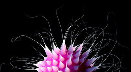 3d render of abstract art part of bacteria or virus organism in spherical shape in intensive pink color with long curly curved tentacles or antennas on black background