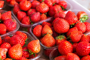 pack of fresh red strawberries close up
