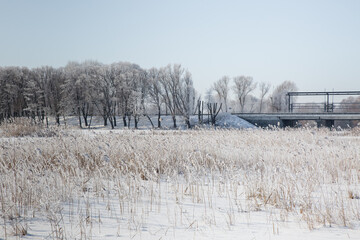 winter in the park