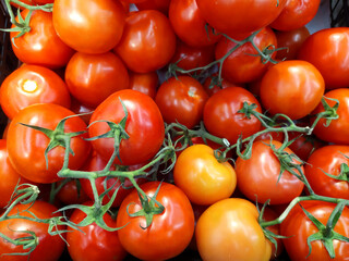 Red fresh tomatoes. A group of tomatoes. Lots of red tomatoes. Electoral focus. Food. Texture. Background. Vegetable storage, supermarket.