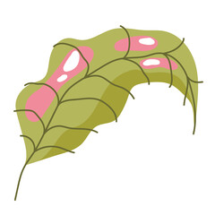 Obraz premium leaf foliage decoration curve abstract icon on white background