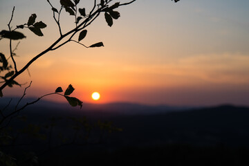 Sunset in Umbria, Italy, sun on the horizon and silohuette of  tree branch 
