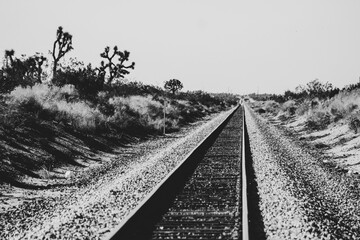 Railroad low perspective in black and white