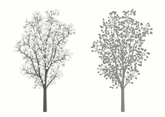 Drawing of a tree in two versions in vintage style on a light background