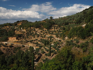 Fototapeta na wymiar Green bushes and trees on the mountainside