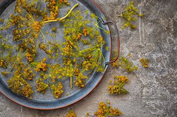 Dried flowers and autumn leaves. Autumn, fall, halloween, thanksgiving decoration.