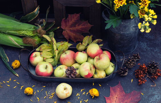 Autumn, fall leaves, flowers, apples. Autumn farm harvest on wooden rustic background. Toned image