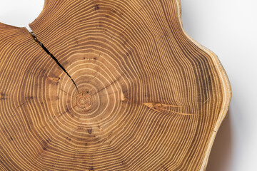 Cracked acacia wood slice on white background, top view. A tree cells arranged in concentric...