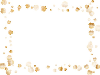 Gold chic seashells vector illustration, marine mollusks shells