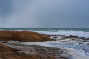 Autumn sea landscape. Dry yellow reeds on the shore. Dark and dramatic storm clouds background.