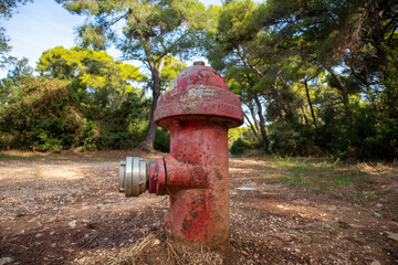 Fototapeta na wymiar Firefighting public system fire hydrant red color outdoors in forest background.