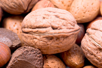 A mixture of different nuts