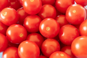 Red tomatoes background. Close up on a delicious and tiny red tomatoes. Multitude of cherry tomatoes .