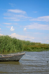Boat near the shore overgrown with grass and reeds