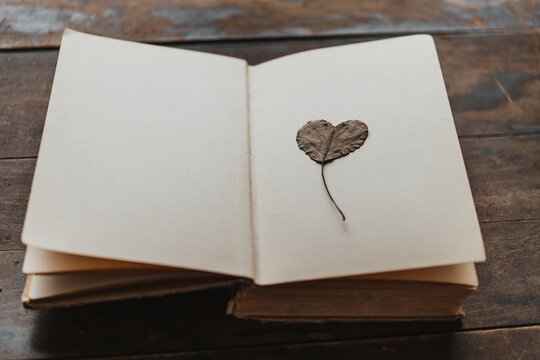 Heart leaf