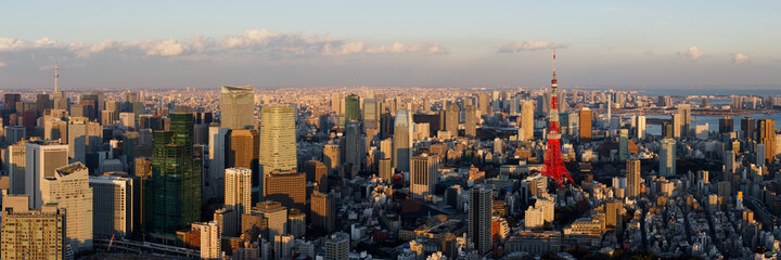 Tokyo Skyline