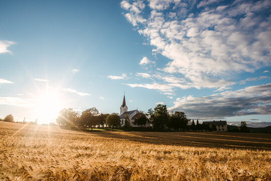 Agricultural field near village in morning