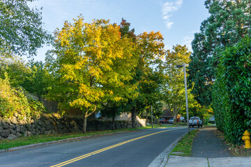 Burien Street In Autumn 5