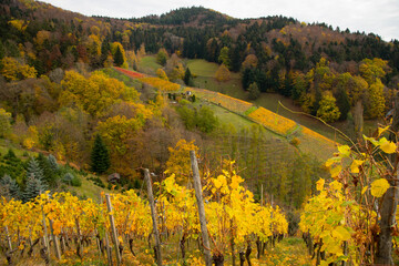 Herbstliches Glottertal im Schwarzwald