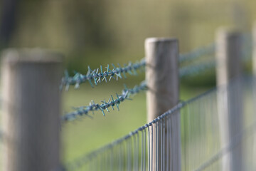New sharp barbed wire fence with smooth blurred background. Copy space