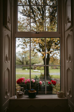 Autumn garden behind manor window
