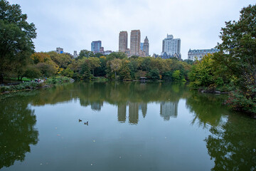 Fototapeta na wymiar Trees and buildings reflect off the Lake in Central Park, New York City