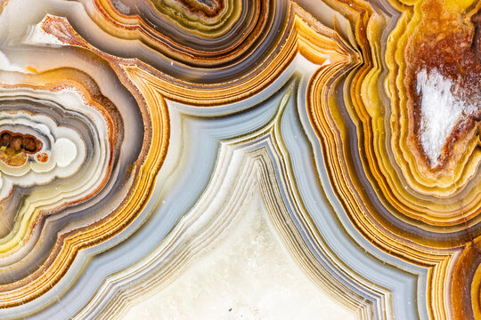 Macrophotographic Detail Of A Laguna Lace Agate From Mexico