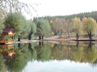 Fototapeta na wymiar Wooden arbor in the autumn forest near the lake.