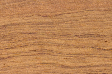 Wood Cross Section Texture Background