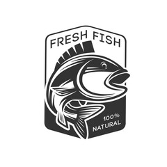 Logos on a fishing theme. Fishing club.