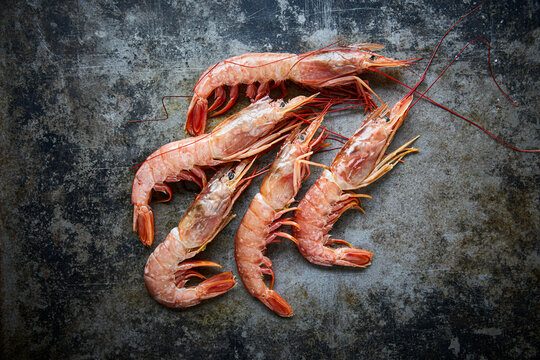 Prawns on a rusty metal surface