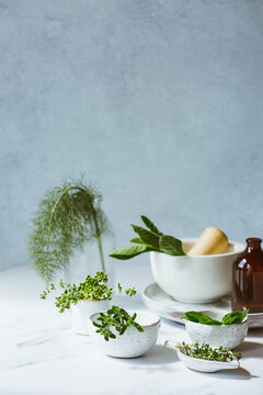 Fresh herbs