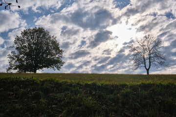 Herbstlandschaften an der Bergstraße.