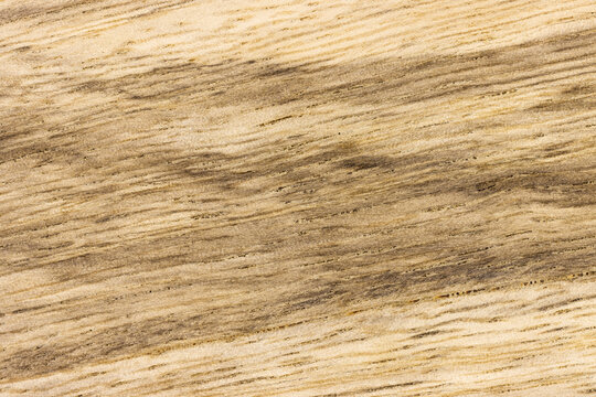 Wood Cross Section Texture Background