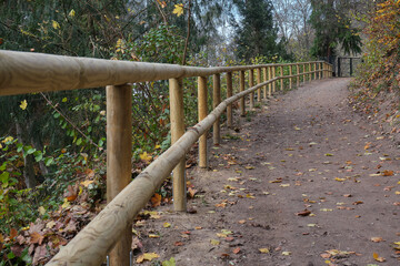 Herbstlandschaften an der Bergstraße.