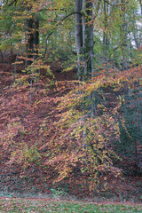 Herbstlandschaften an der Bergstra&szlig;e.