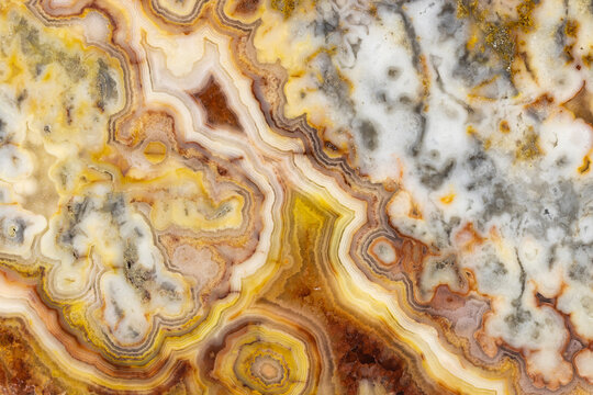 Macrophotographic Detail Of A Crazy Lace Agate From Western Australia