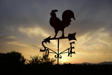 Rooster weather vane, silhouette against the sky, dawn