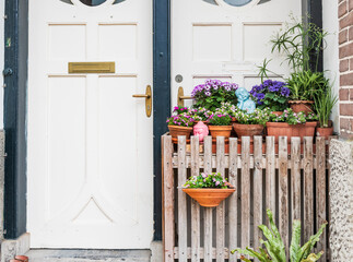 White door with wooden gate and spring flowers