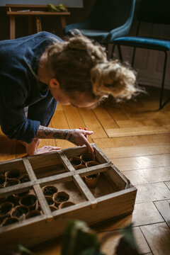 Unrecognizable female gardener showing seedlings in wooden box at home