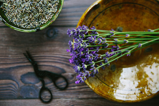 Fresh and dried lavender