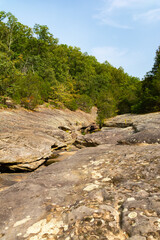 Bell Smith Springs Landscape