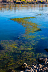 reflection in the water