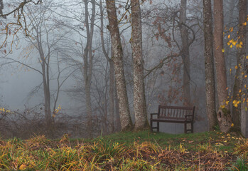 A bench in the foggy park