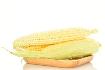 Ripe ears of corn, close-up, on a white background.