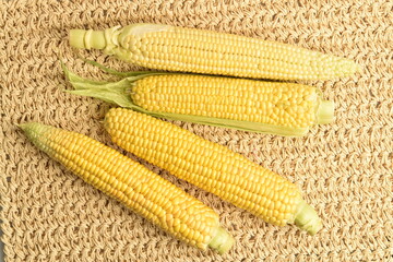 Ripe ears of corn, close-up, on a straw mat.