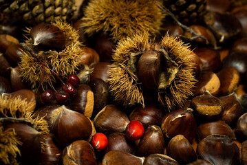 autumn details. chestnuts in shell, pine cones, red fruits,