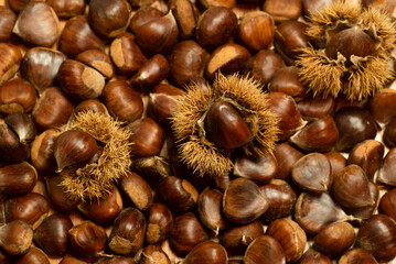 autumn details. chestnuts with shell