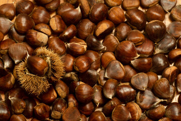 autumn details. chestnuts with shell