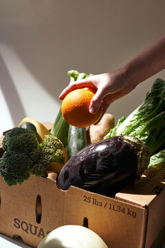 Box of Produce with Hand